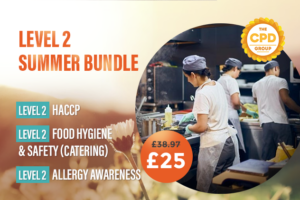 Level 2 Summer Bundle