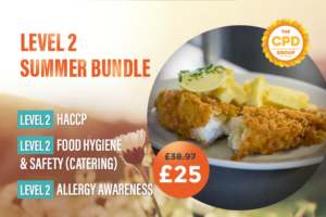 Level 2 Summer Bundle NFFF