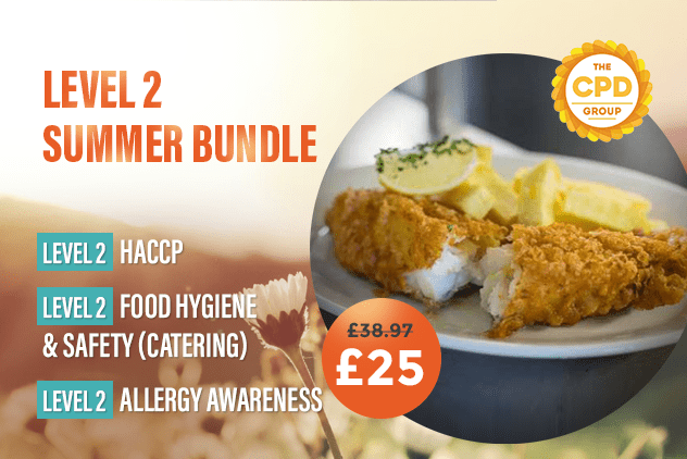 Level 2 Summer Bundle NFFF